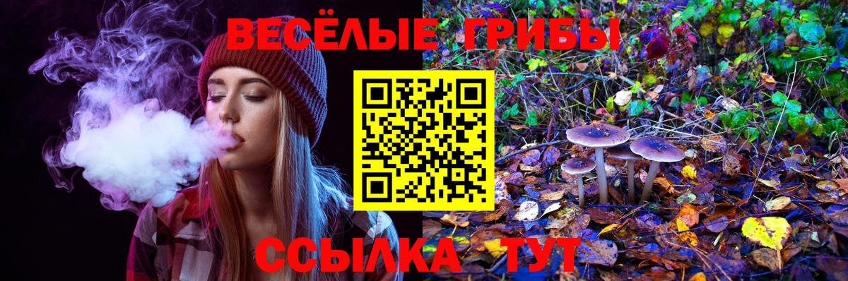 Галлюциногенные грибы Psilocybine cubensis  Вход с VPN  Галлюциногенные грибы GOLDEN TEACHER  Муром 